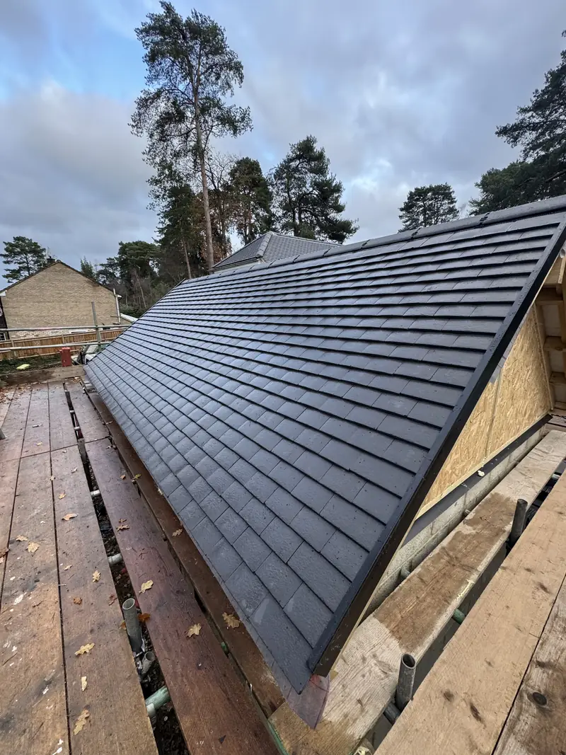 New dark grey flat interlocking tiles on a rear extension roof, black fascia and gutter, tall pines behind